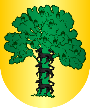 ESCUDO PRECEDENTE